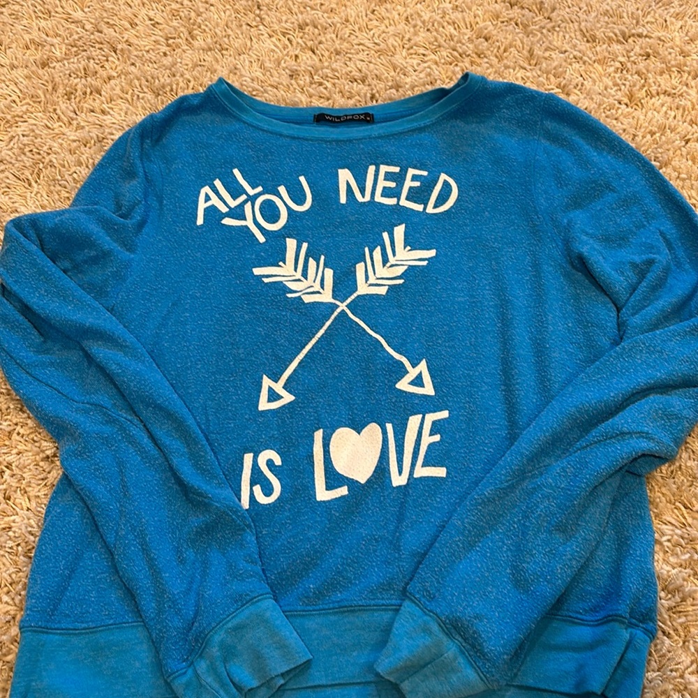 Wildfox sweatshirt size medium blue